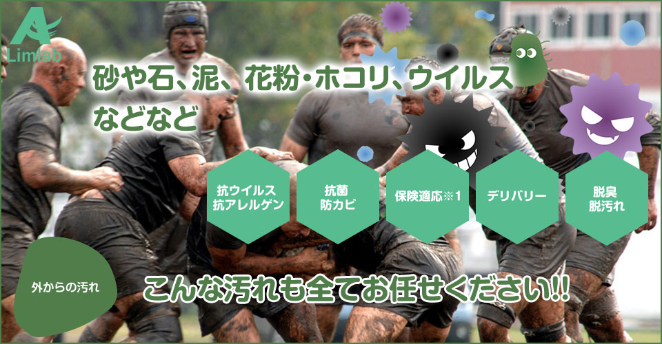 砂や石、泥、花粉・ホコリ、ウイルスなど外的な汚れの車内清掃