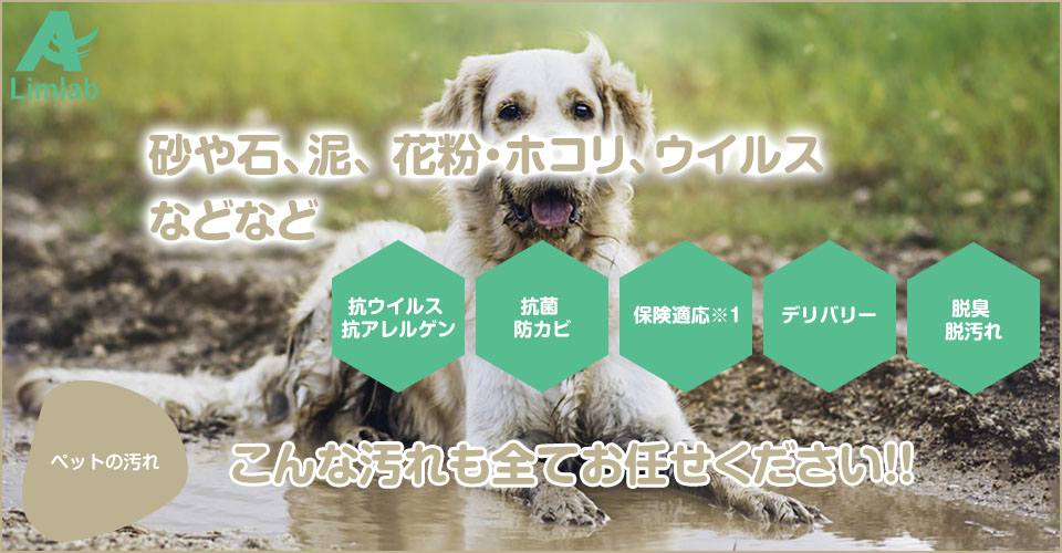 ペットの汚れのお悩みを解消する車内清掃