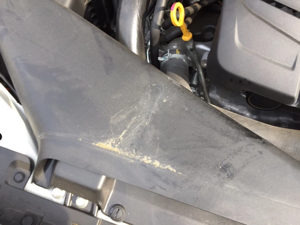 車コーティングと室内除菌清掃